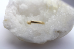 Cartier Ehering / Trauring 18k Gelbgold Gr. 65 ca. 5,6g