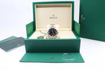 Rolex Oyster Perpetual Fullset Box & Papiere 41mm NEU 2025 Automatik